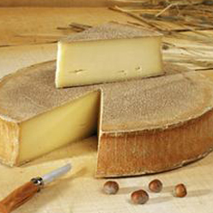 À la découverte de l’Abondance fermier, fromage emblématique de Haute-Savoie