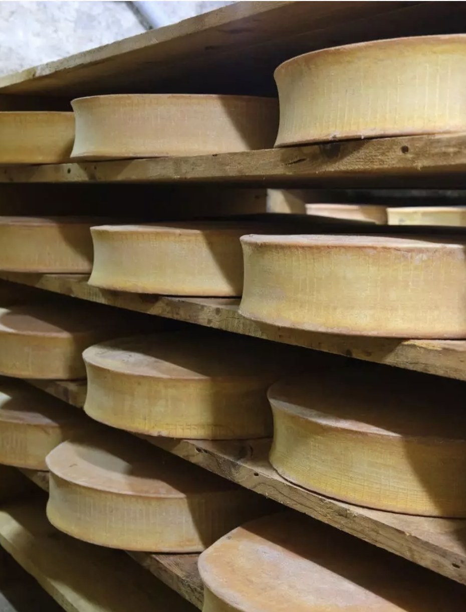 Tout savoir sur le Beaufort : été ou hiver, lequel choisir ?